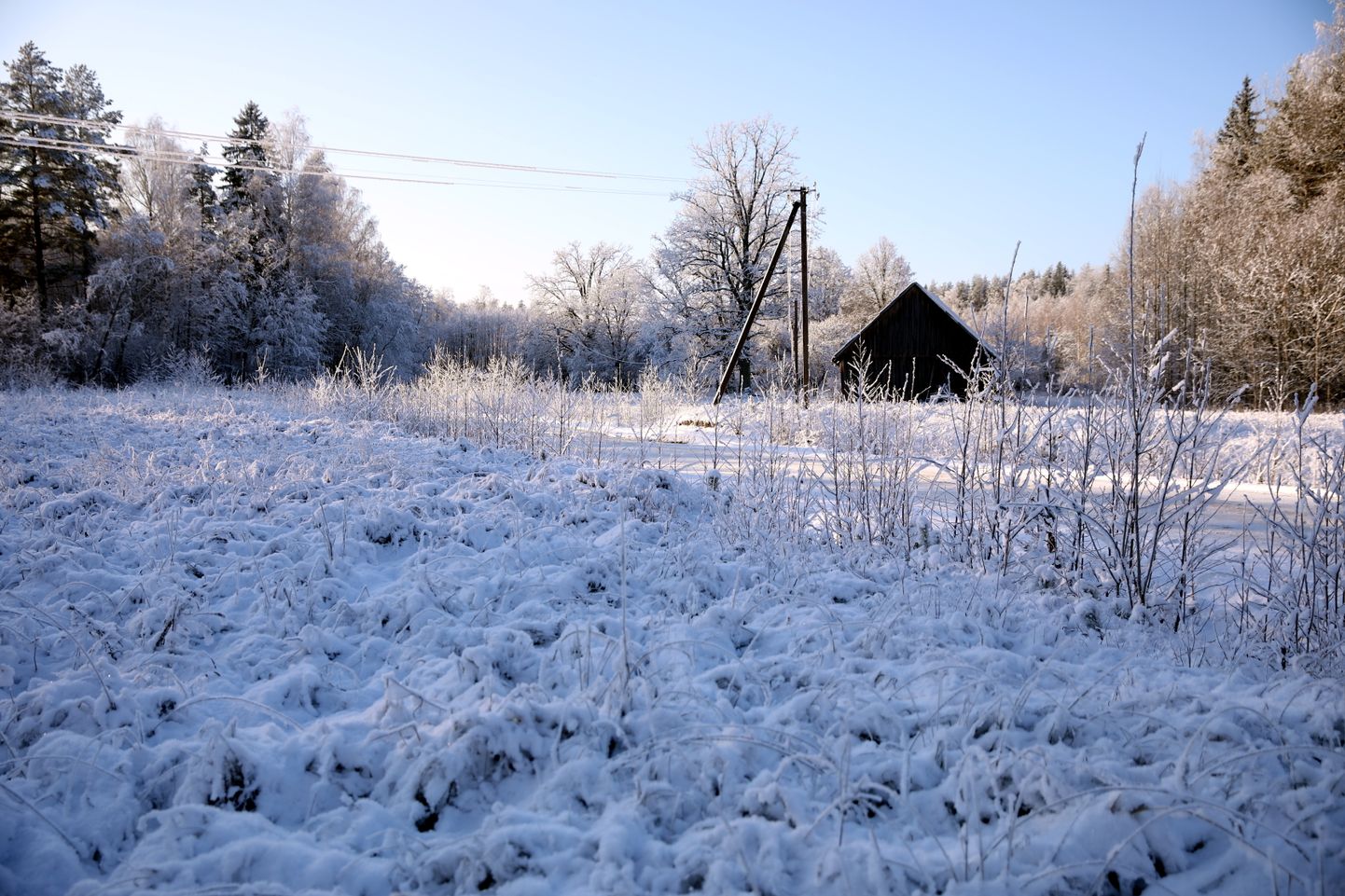 Зима в Латвии
