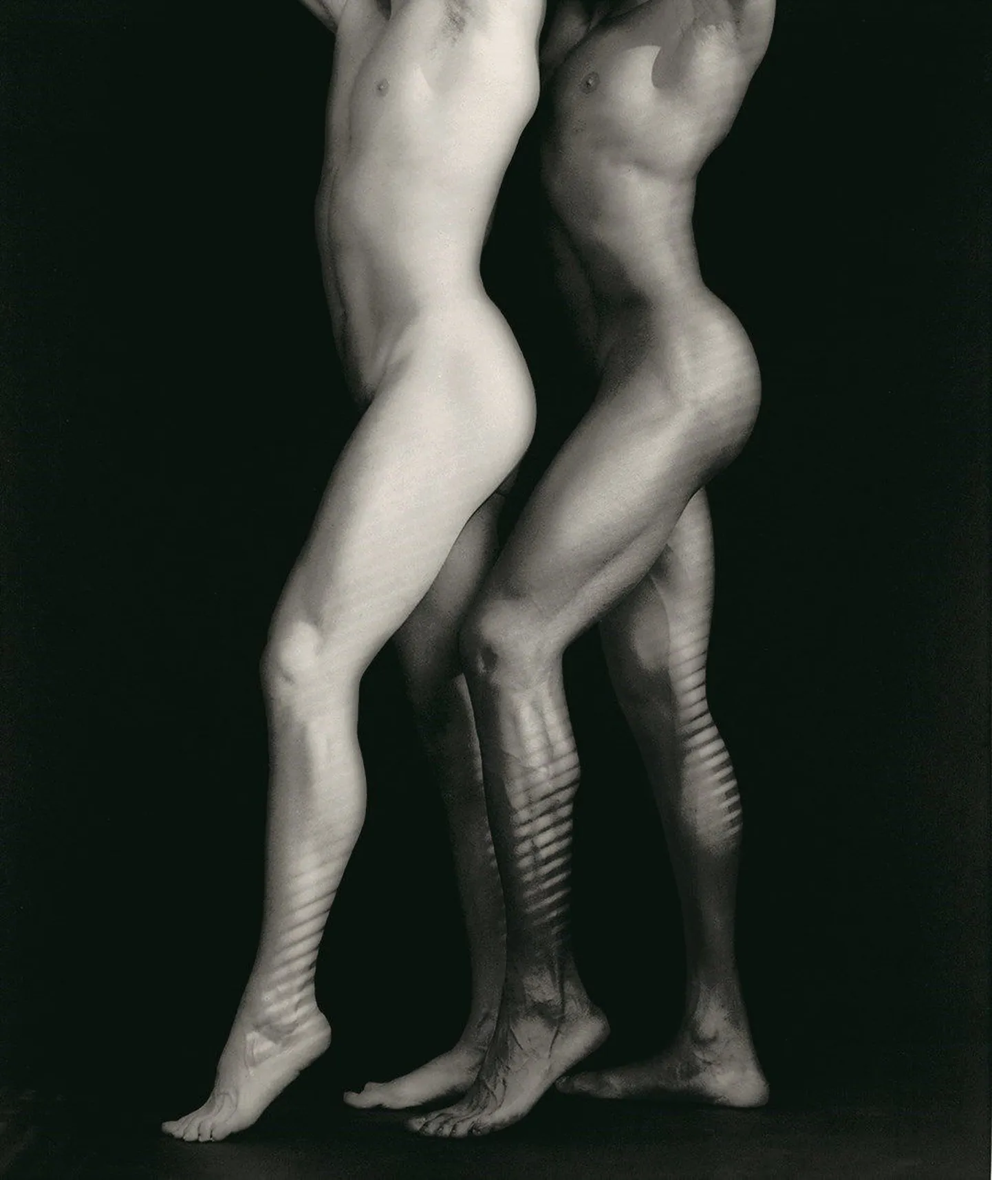 Robert Mapplethorpe'i looming.