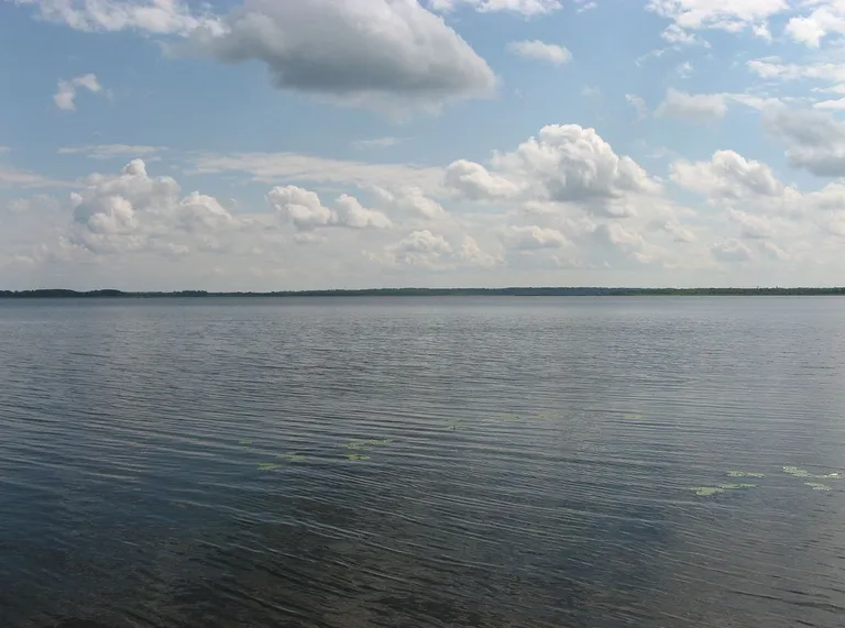 Seligeri järv