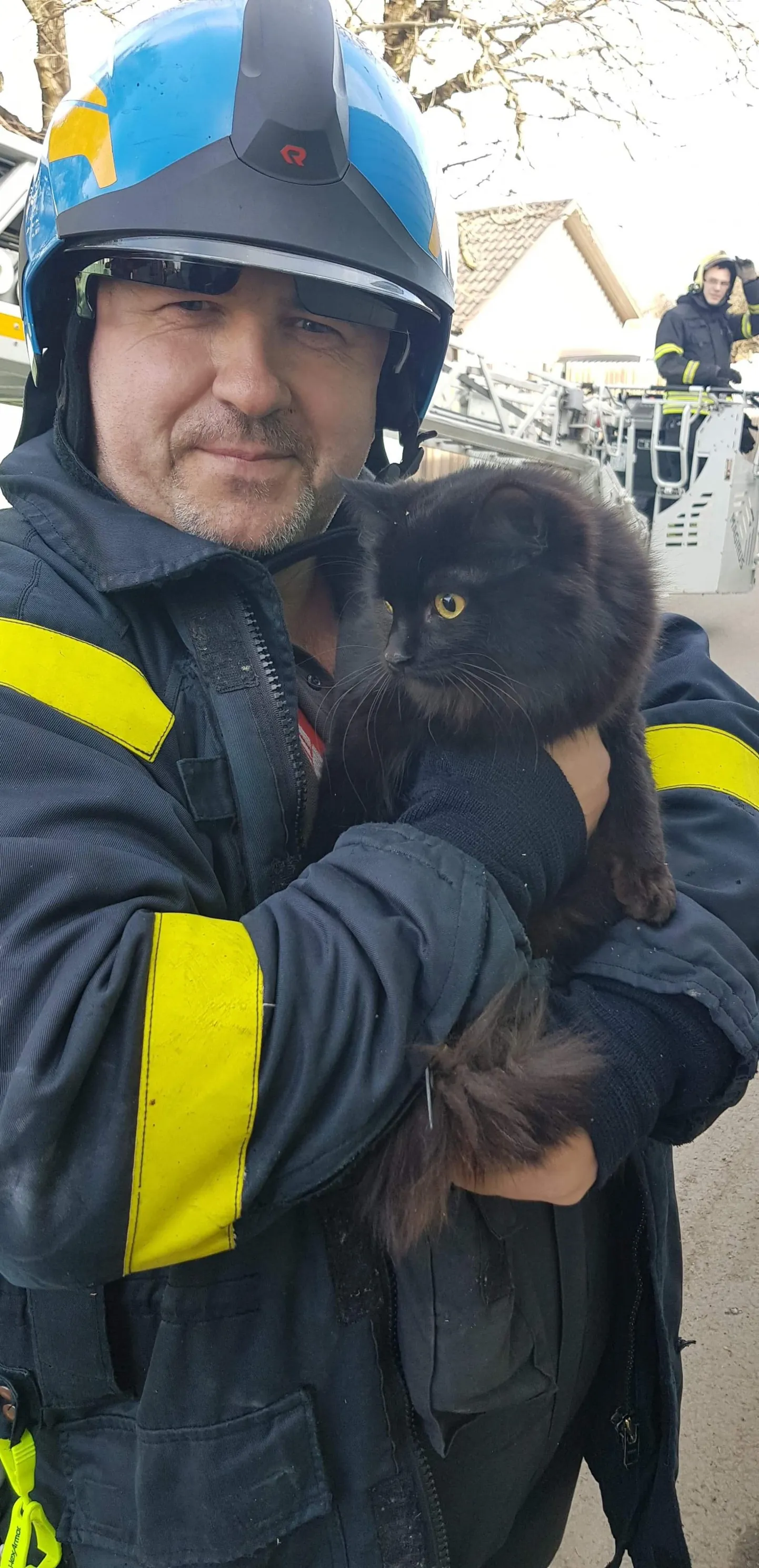 Kuigi pole tõenäoline, et kass ise puu otsast alla ei saa, tuleb päästemeeskondadel kassipäästmisi ette väga palju.