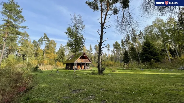 Фото статьи