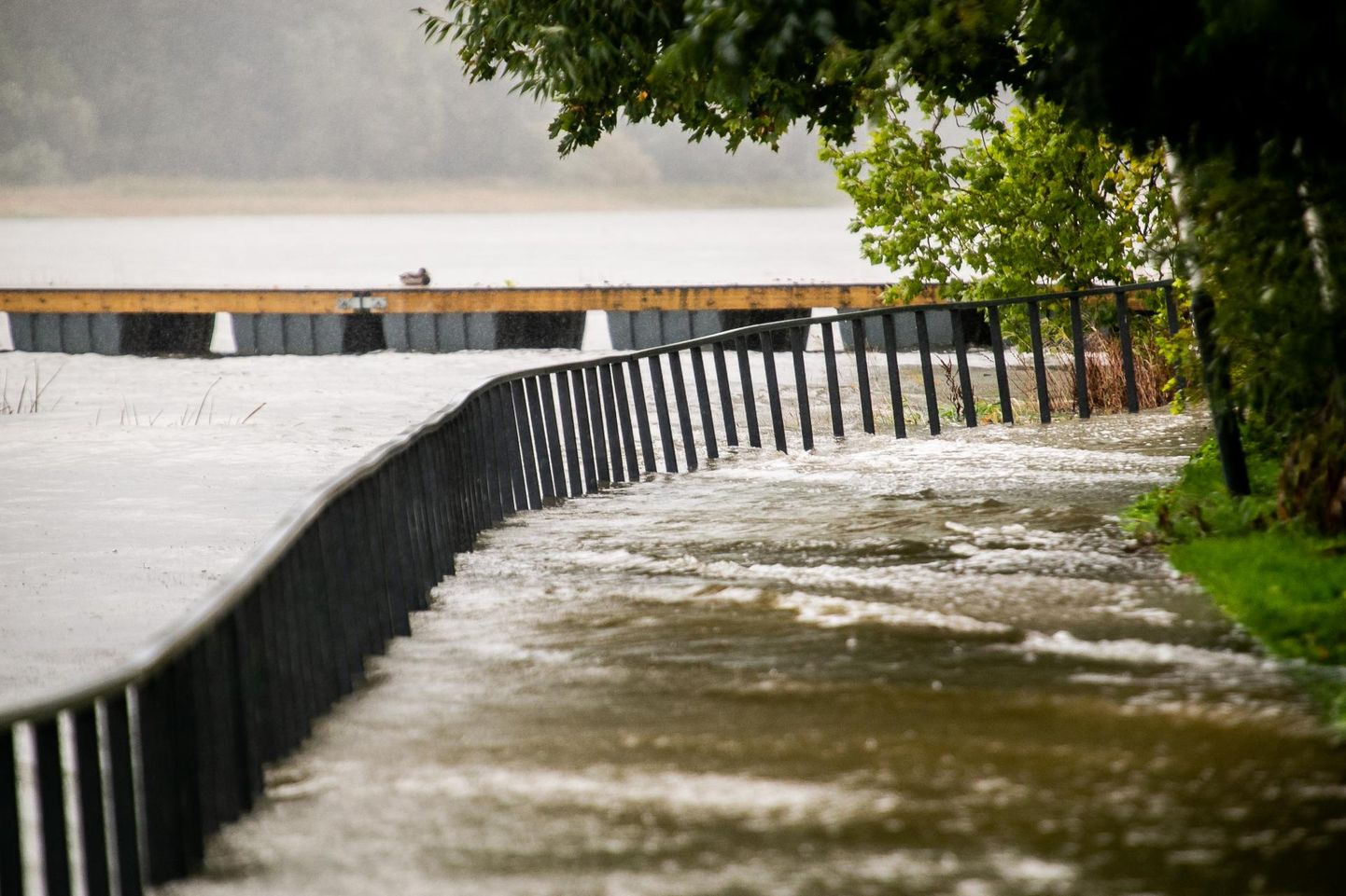 26. septembri sügistormi ajal üle kallaste tõusnud Pärnu jõgi.