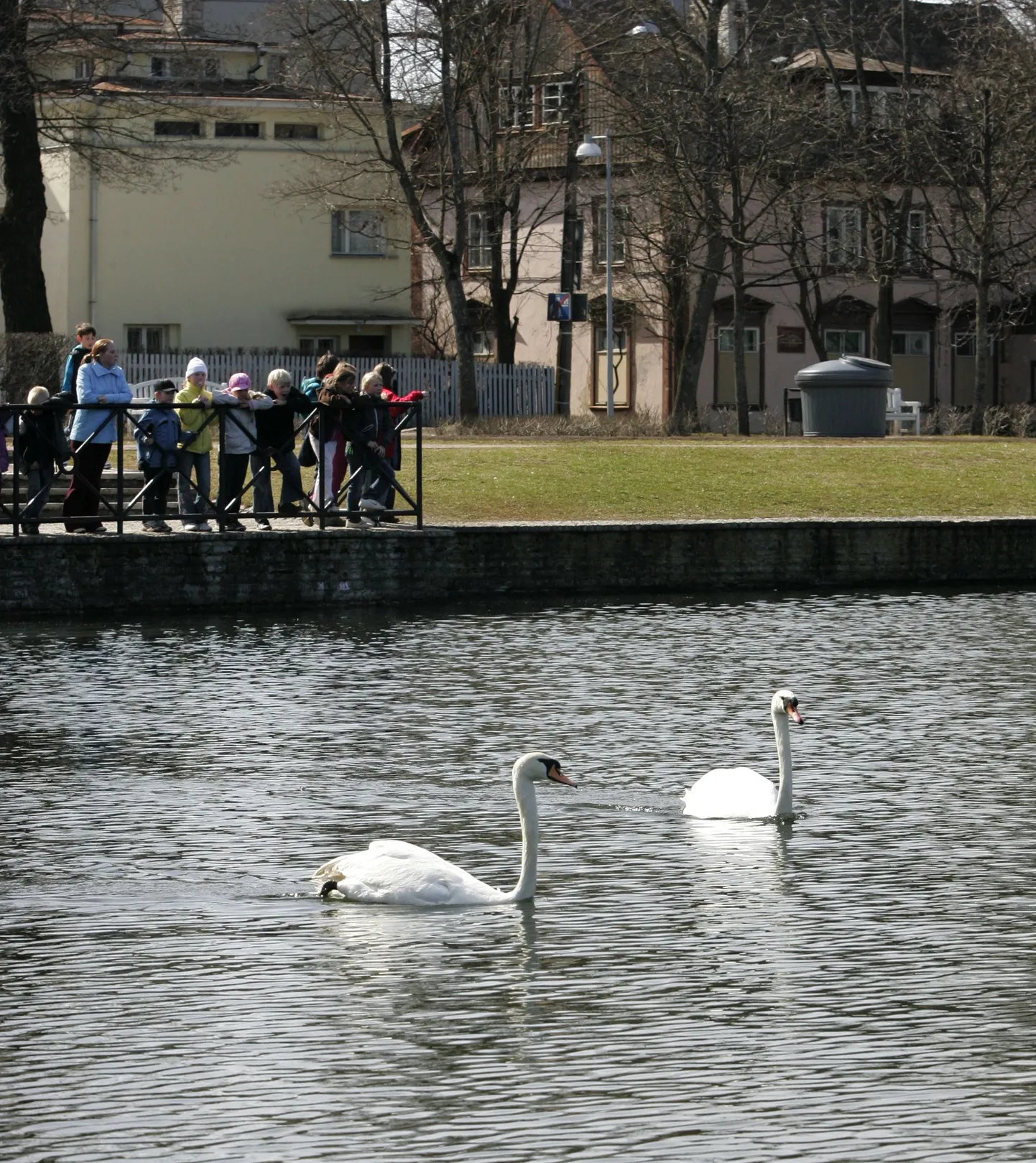 Luigetiik Kadriorus.
