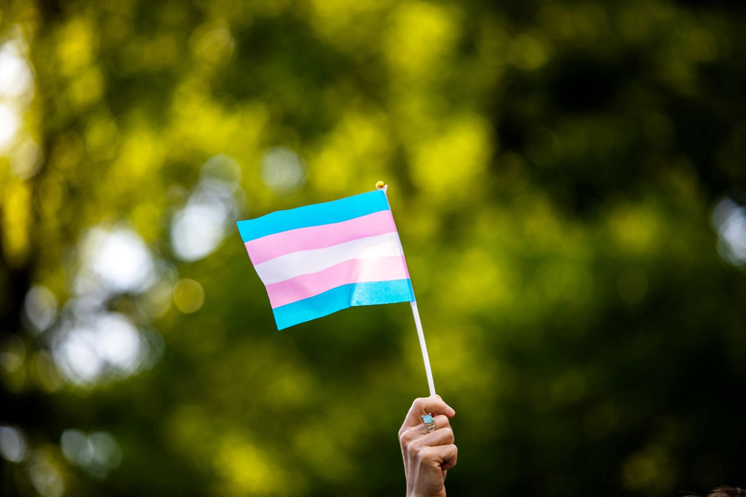 Transsoolisi esindav lipp.