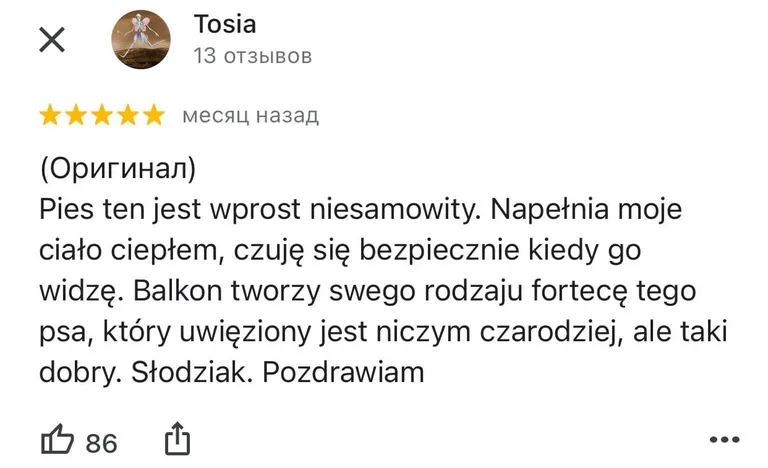 Фото статьи