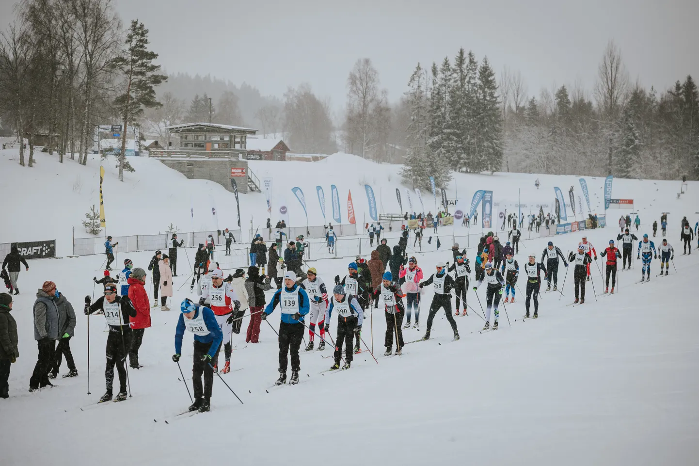 Haanja maratonil.