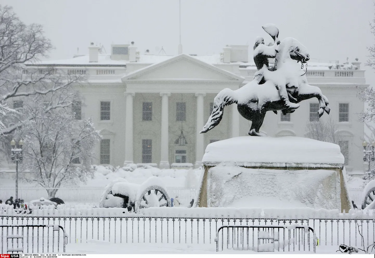 Lumine Washington