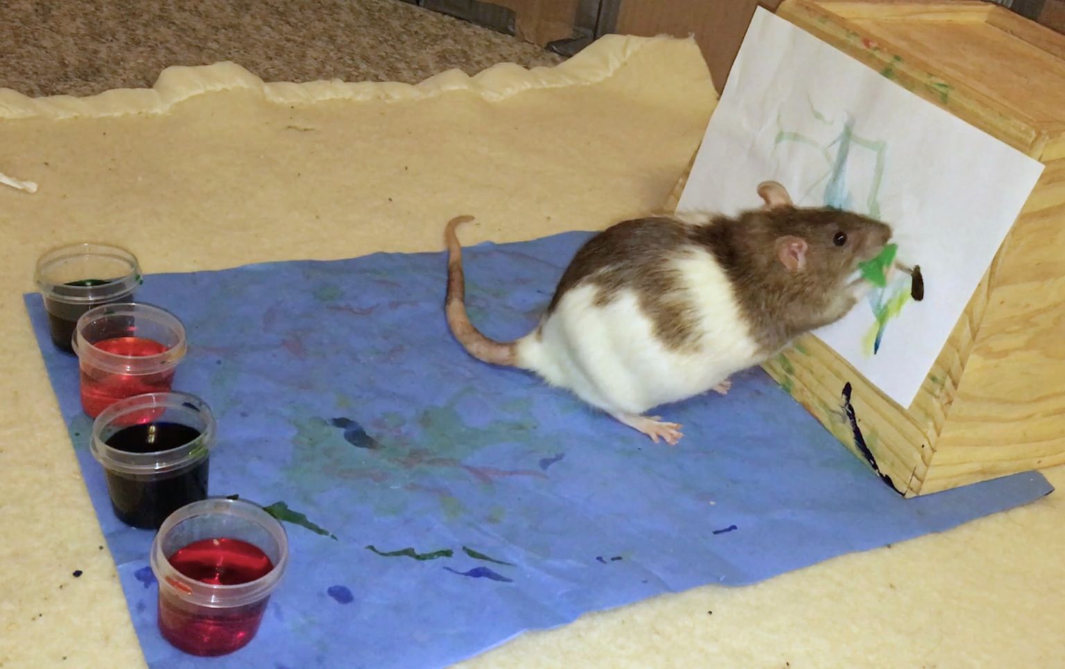 Estheri rott maalimas.