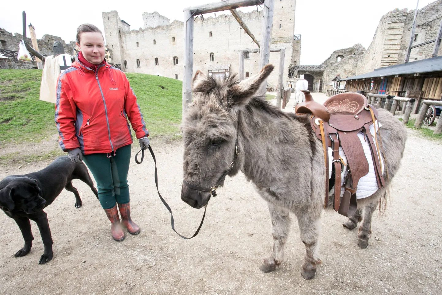 Rakvere linnuse eesel Mickins.