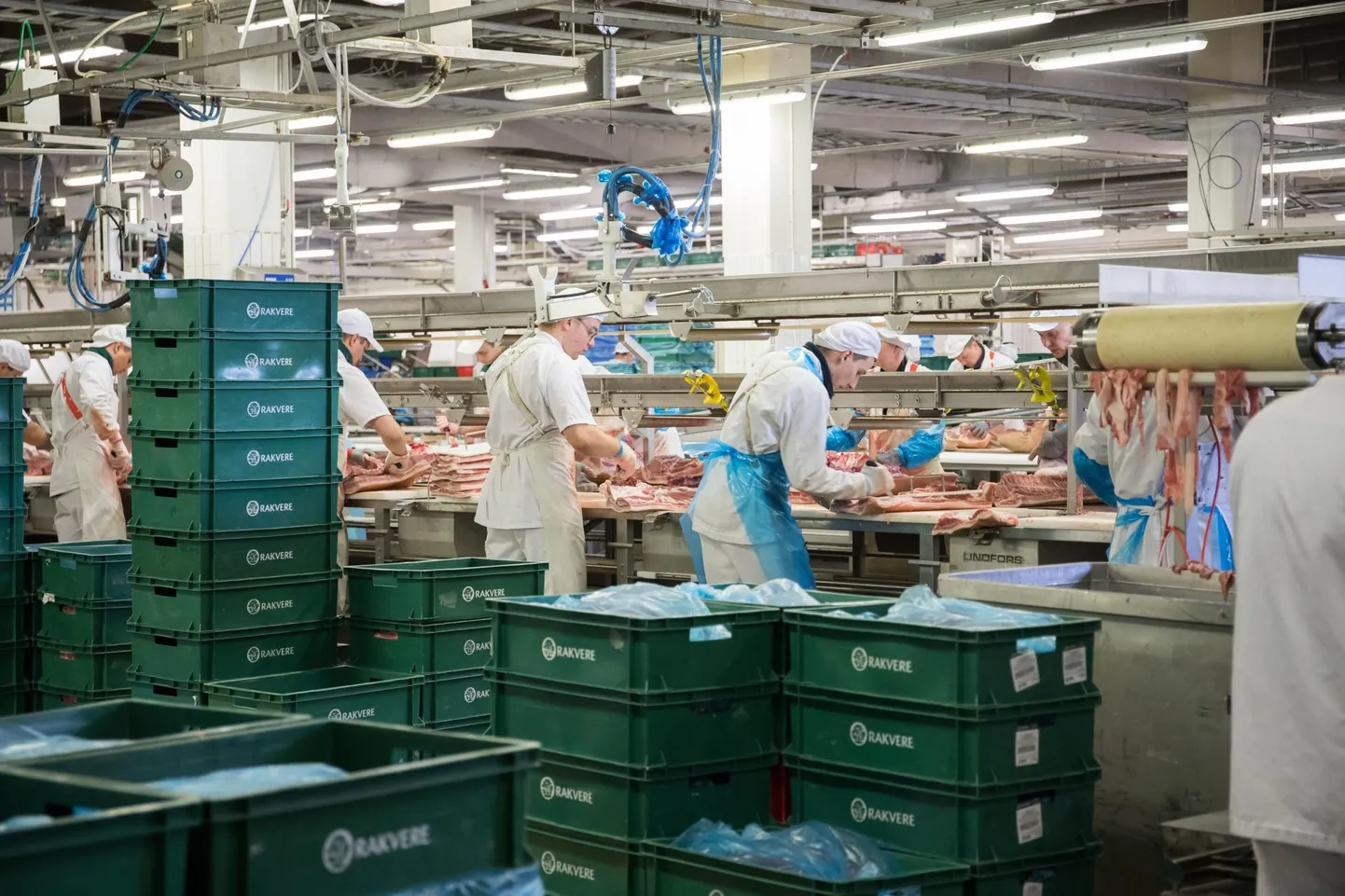 Lihatootjate tipphooaeg: liha grillimine on suviti ja jaaniajal eestlase meelistegevus. Rakvere lihakombinaadi töötajatel on käed tööd täis.