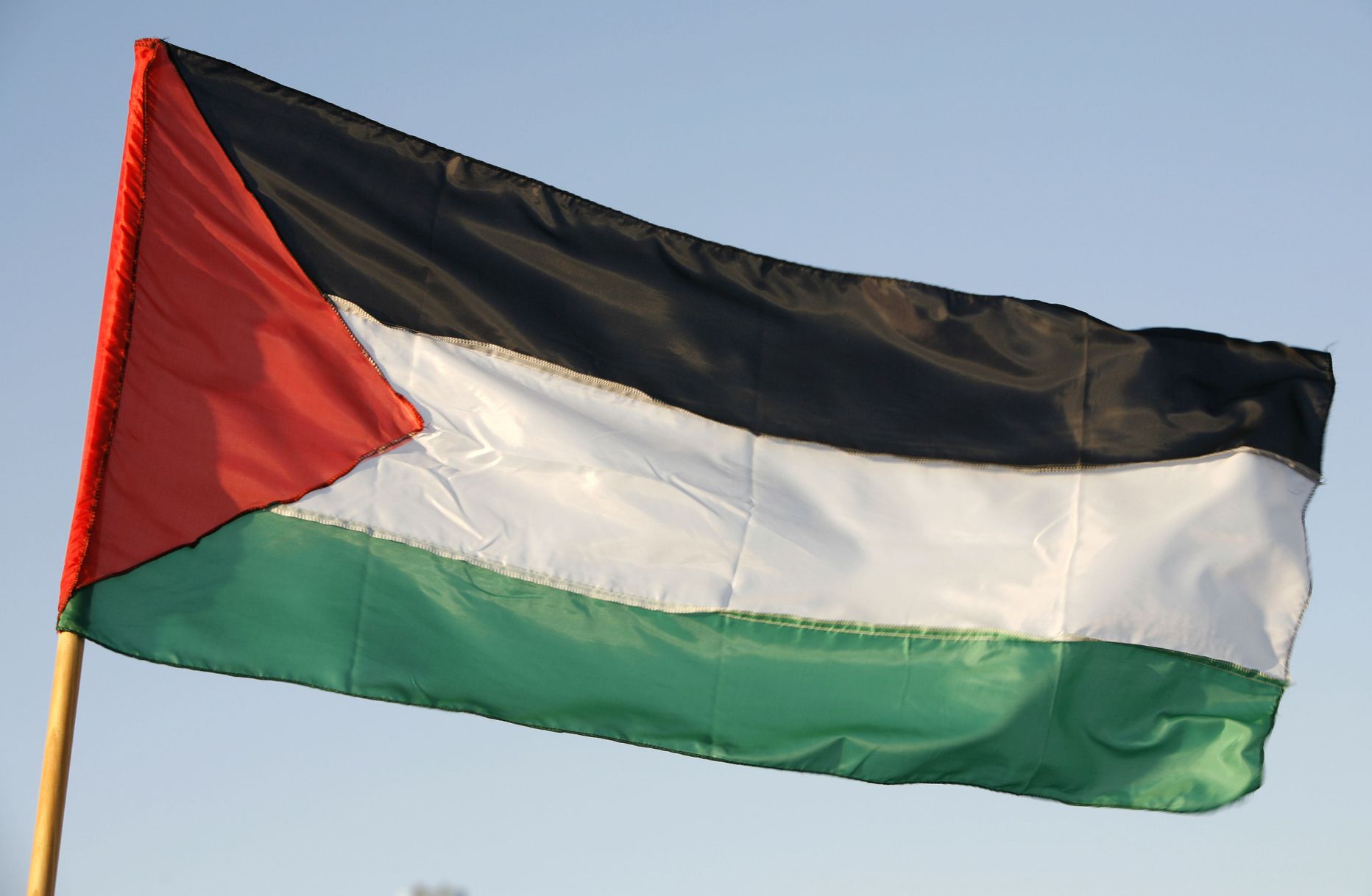 Palestiina lipp