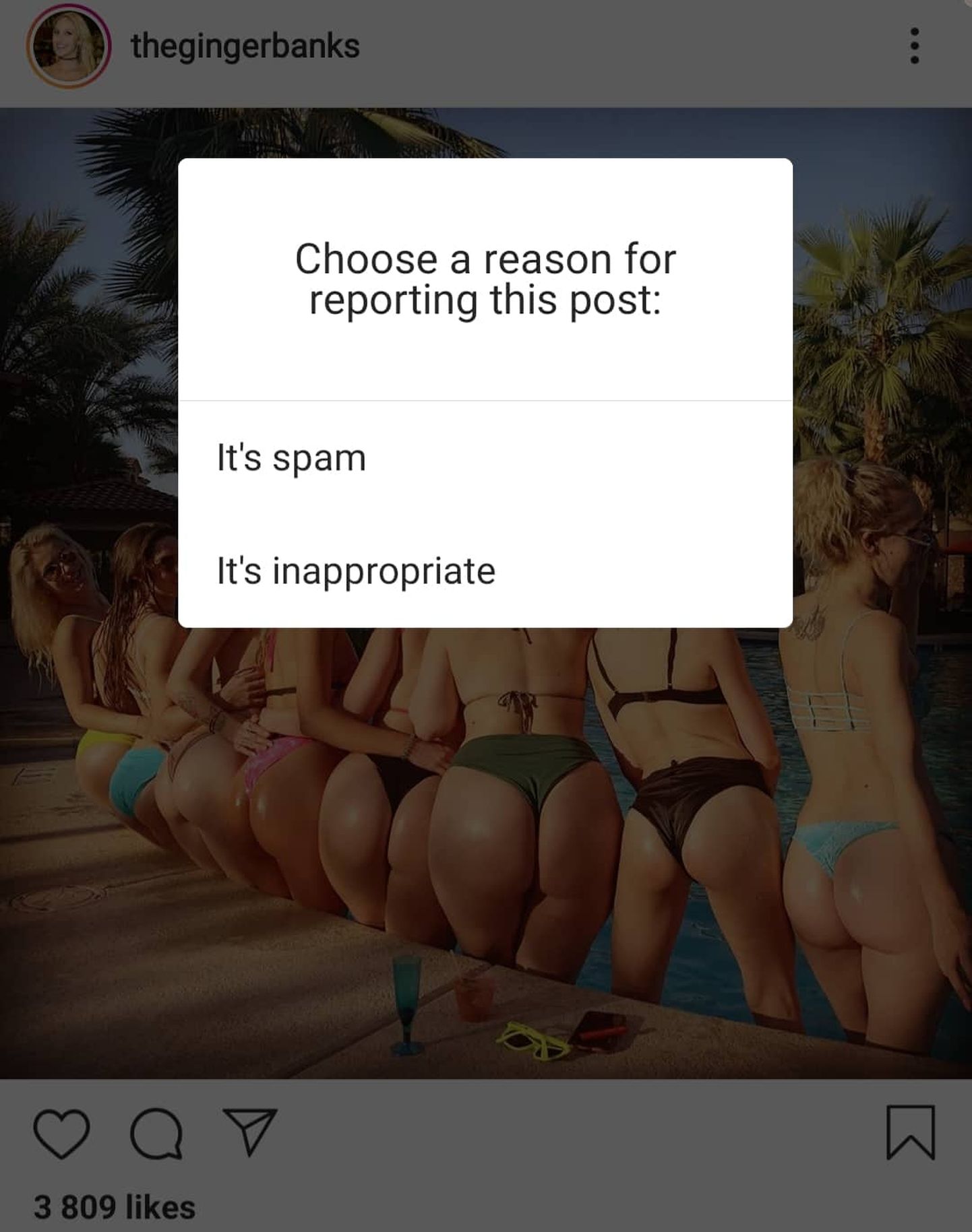 Instagram  объявил войну порнозвездам