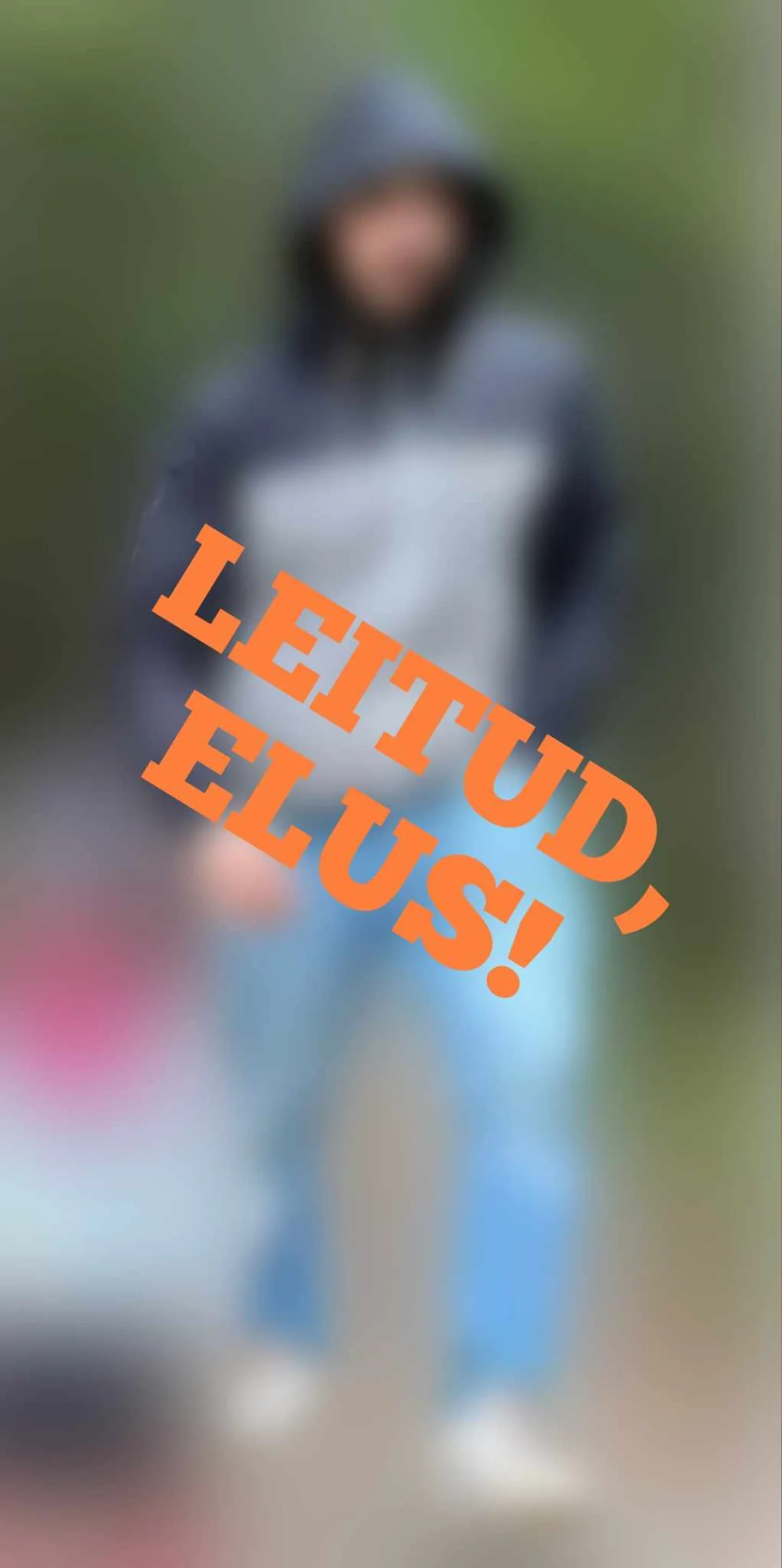 Otsing lõppes edukalt.