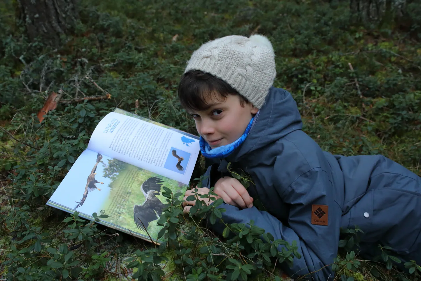 Raamat «Tunne Eestit. Loomalood ja linnulood meie metsadest».