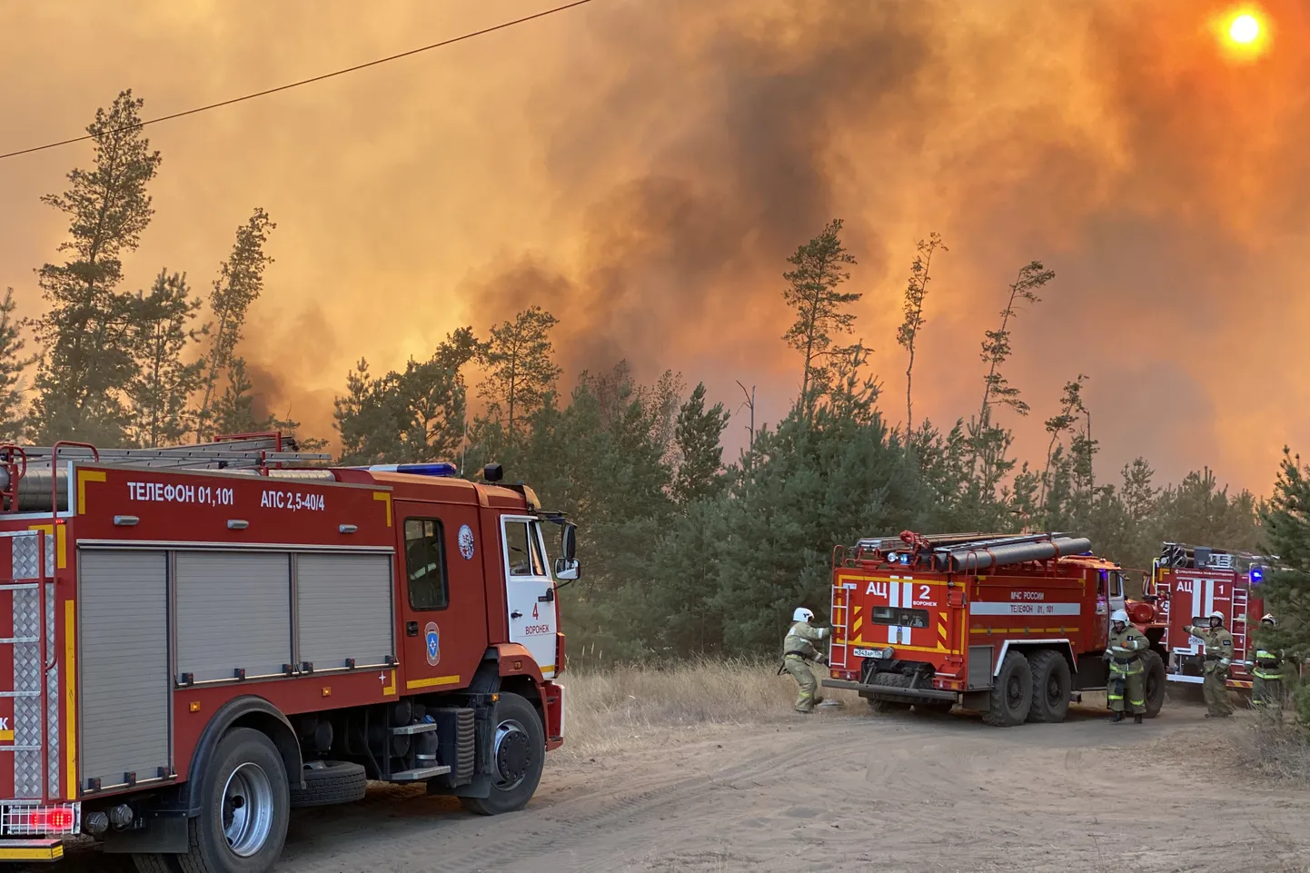 Metsapõleng 2020. aasta septembris Venemaal Voroneži oblastis.