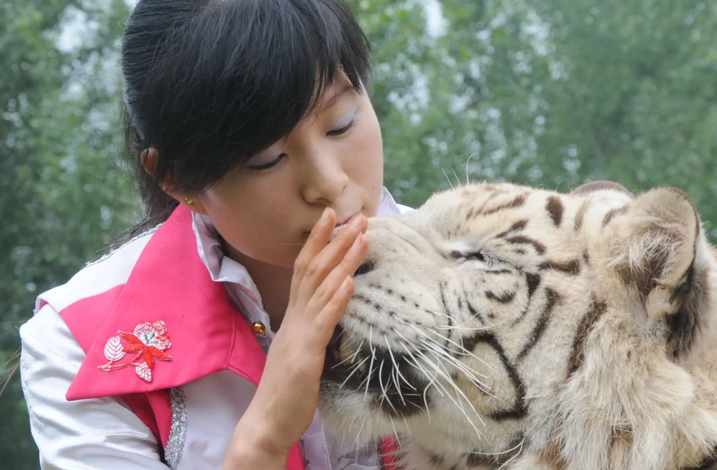 Dresseerija Zhang Chunyan mängis Hiina loomaaias valge tiigriga