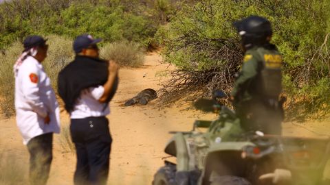 Ära viidud laip jätab endast kuudeks jälje – seda isegi kõrbes