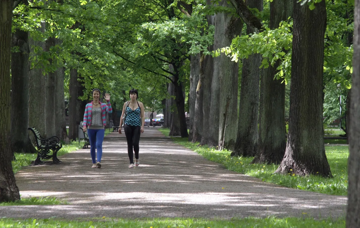 Tegevuskavva on muu hulgas lisatud uute pargialade arendamine ja vanade parkide rekonstrueerimine.
