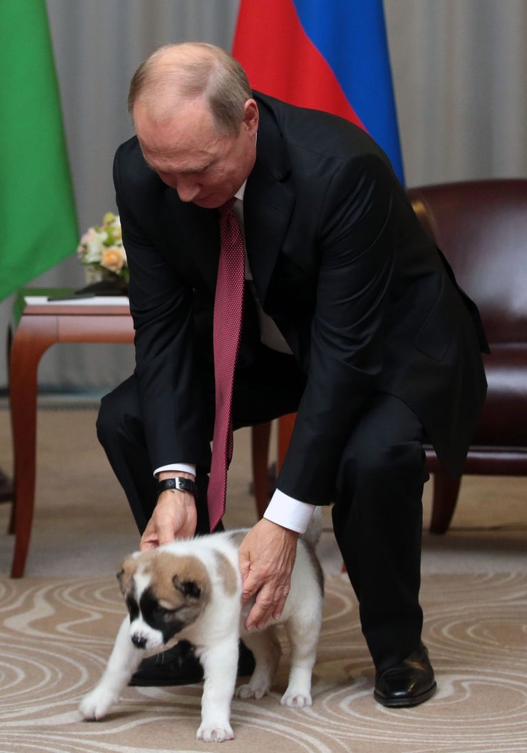 Встреча президента России Владимира Путина с коллегой Гурбангулы Бердымухамедовым.