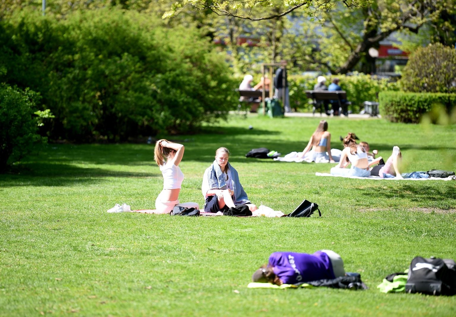 People sunbathe on the lawn in Värmanes garden.