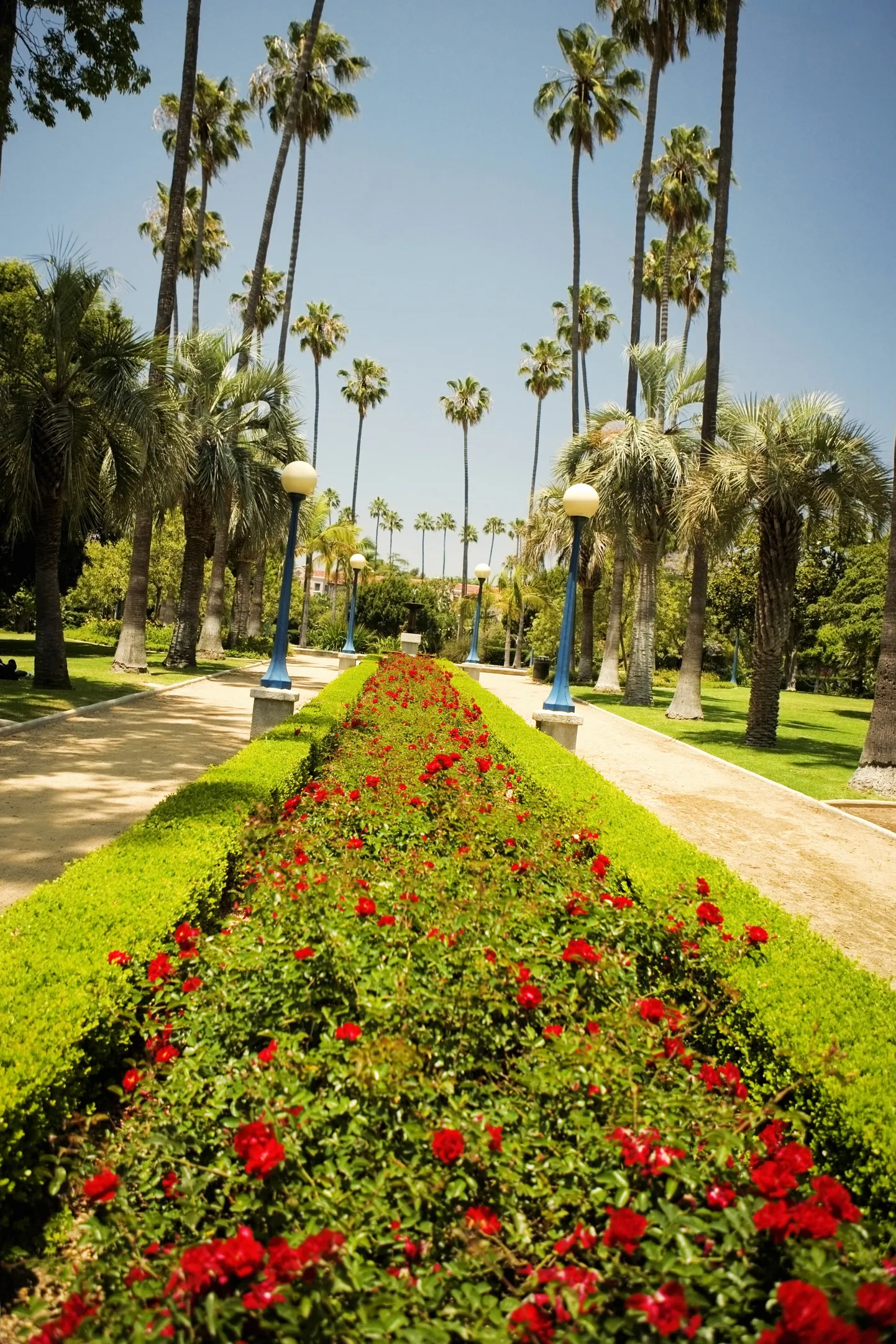 Beverly Hills. Pilt on illustreeriv.