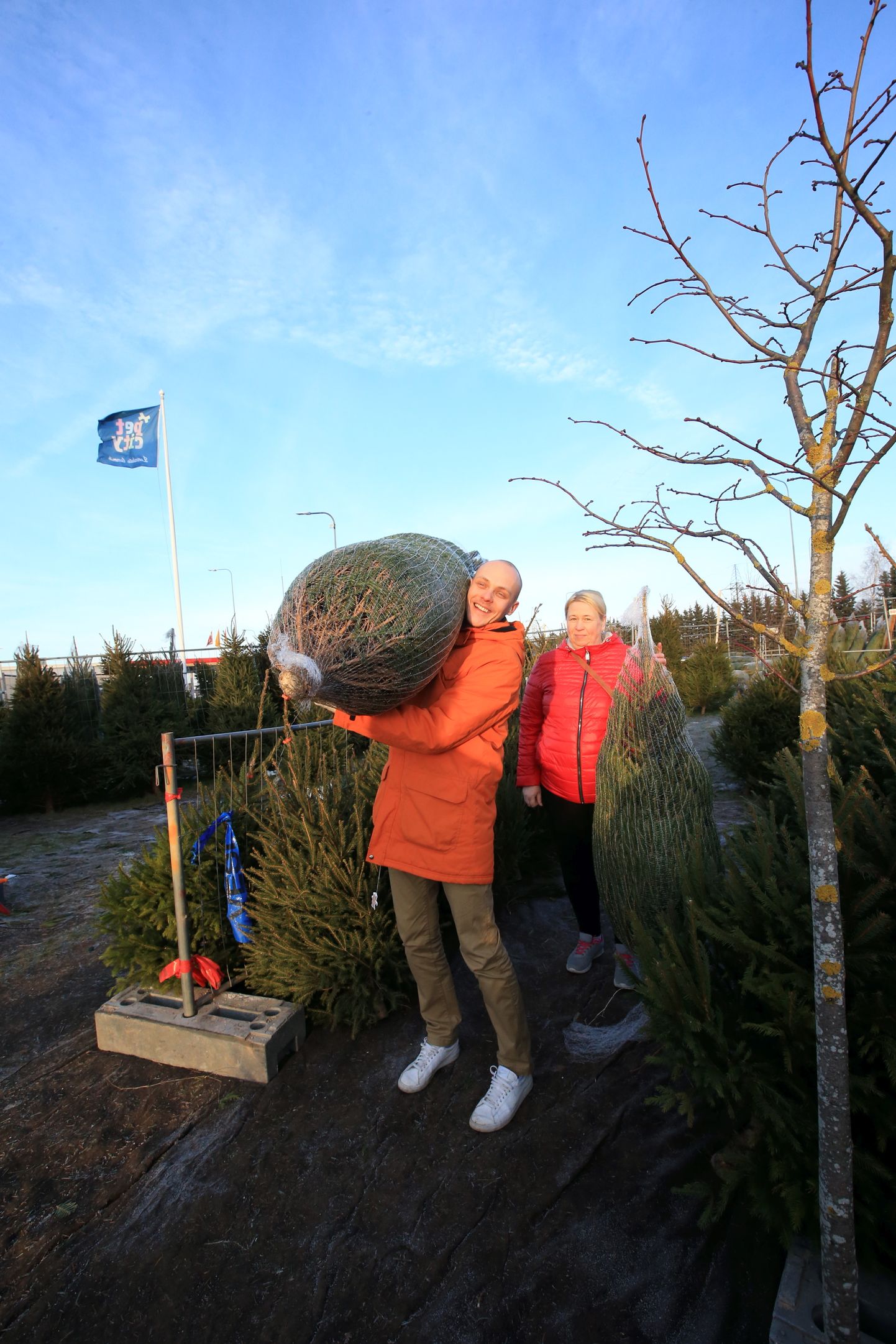 Võrust pärit Märt Roskrut ja Eike Riivik leidsid omale sobiliku jõulupuu Lõunakeskuse müügiplatsilt. «Oleme siit juba mitu aastat võtnud. Siit saab ju kingitused ka kohe kaasa võtta,» sõnas Riivik ning lubas kuuse kodus kohe ära ehtida.