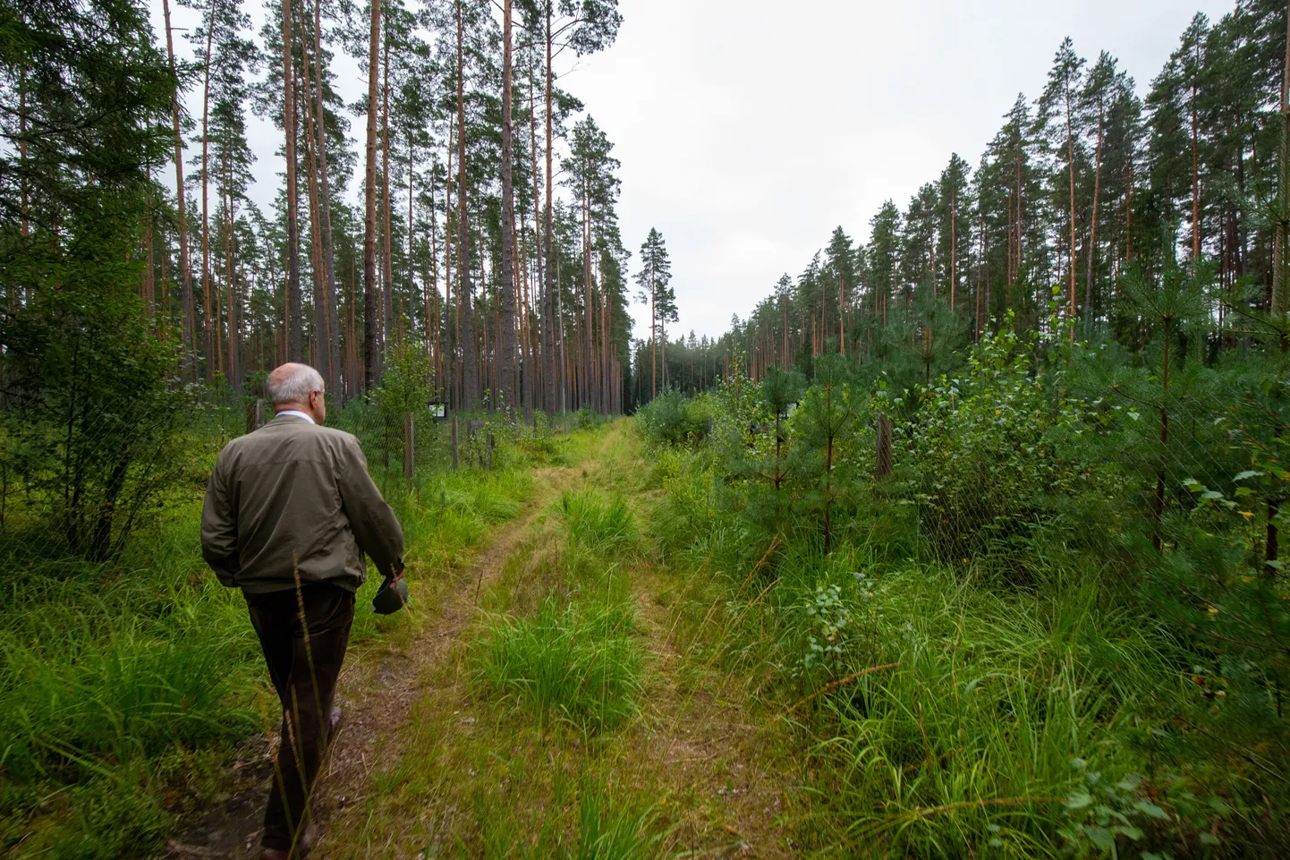 Eesti maaülikooli eestvedamisel toimub Metsarahva päeval Järvselja Õppe – ja Katsemetskonnas ligi 20 erinevat õpituba ja ekskursiooni väike- ja koolilastele.
