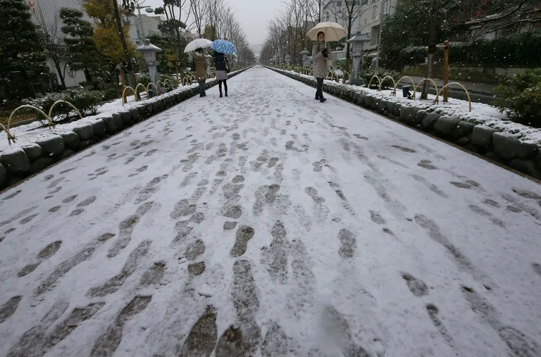 Esimene lumi Tokyos