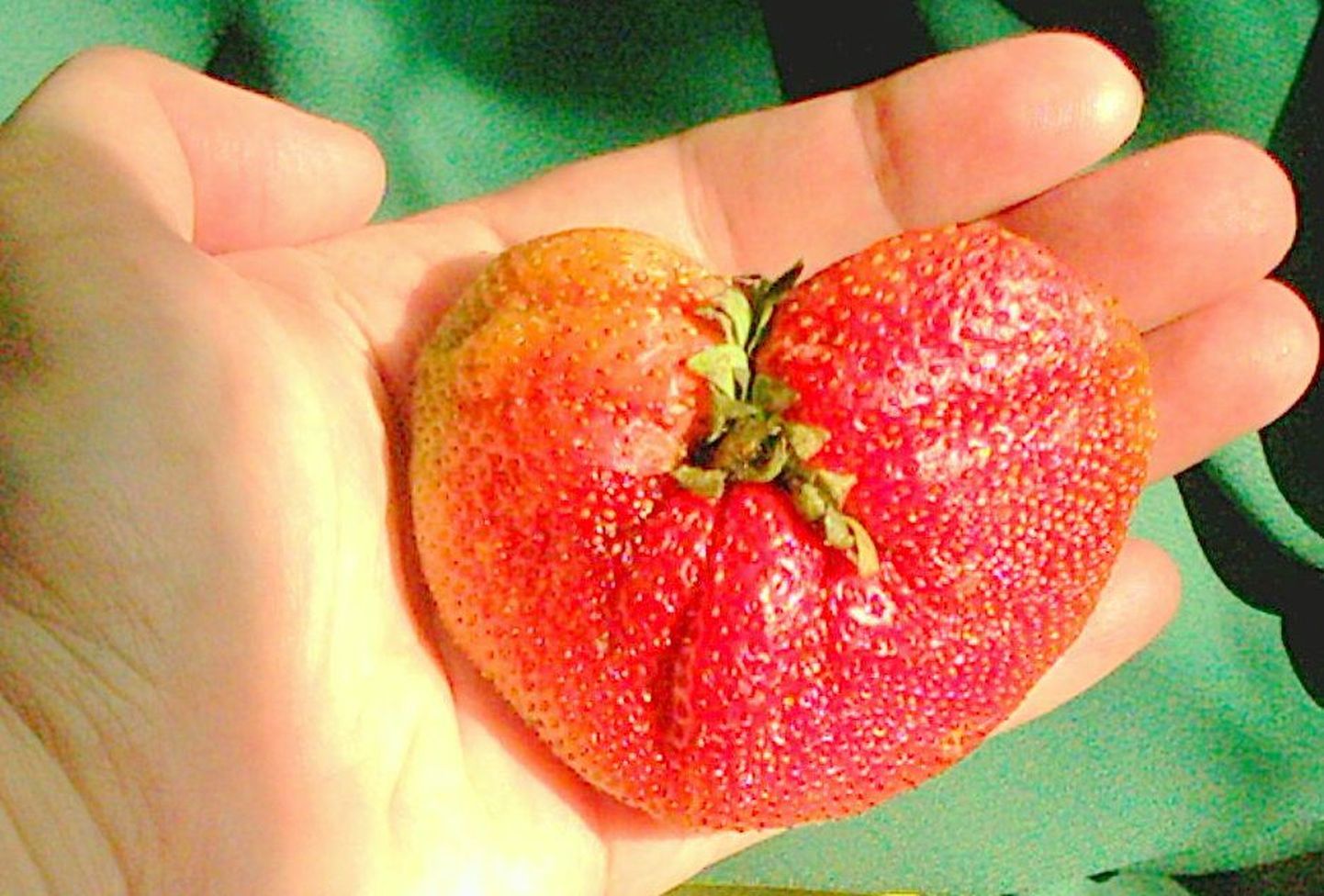 Südamlik maasikas, sellist müüdi Tartu turul.