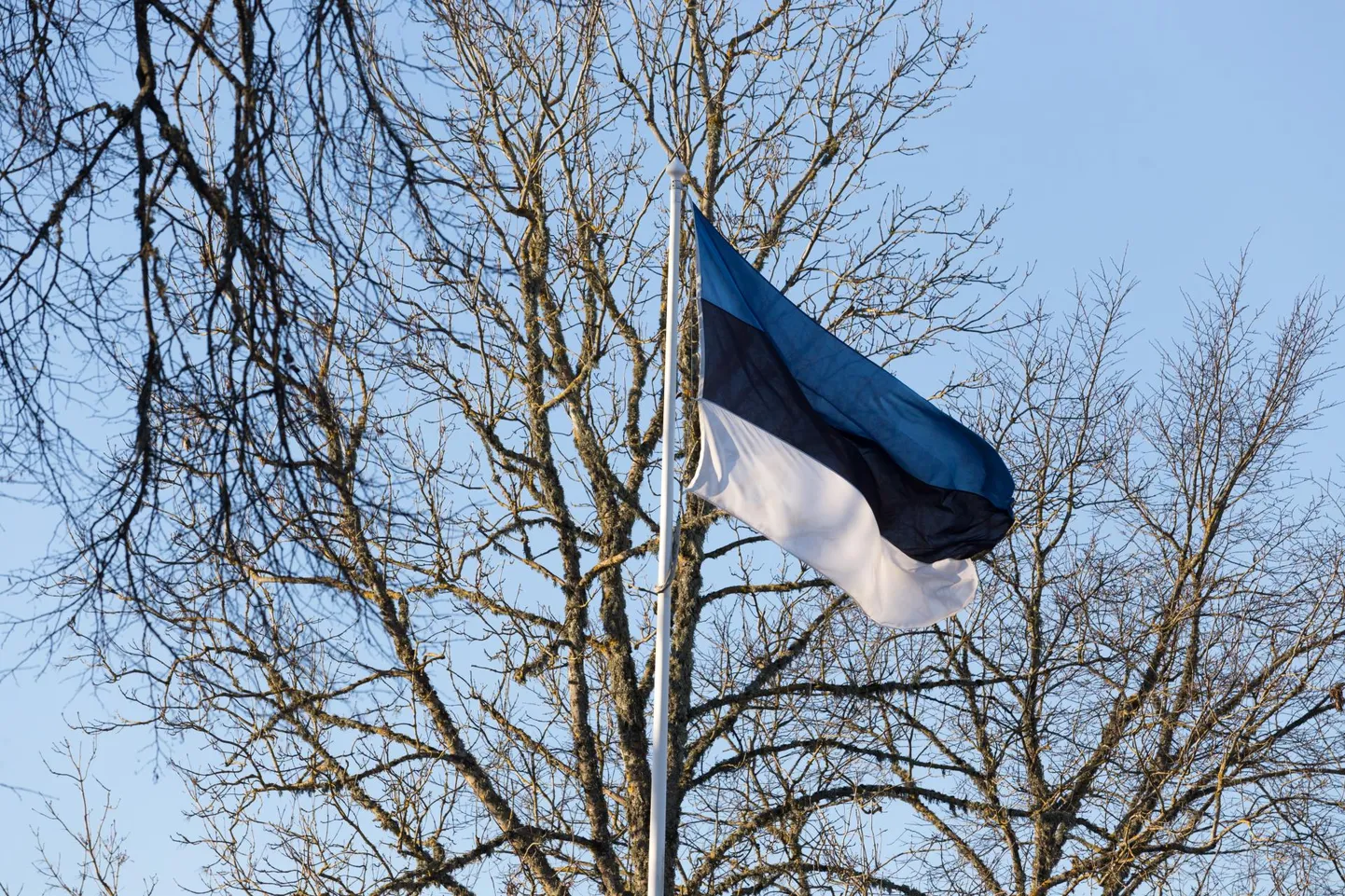 Isadepäev on lipupäev.