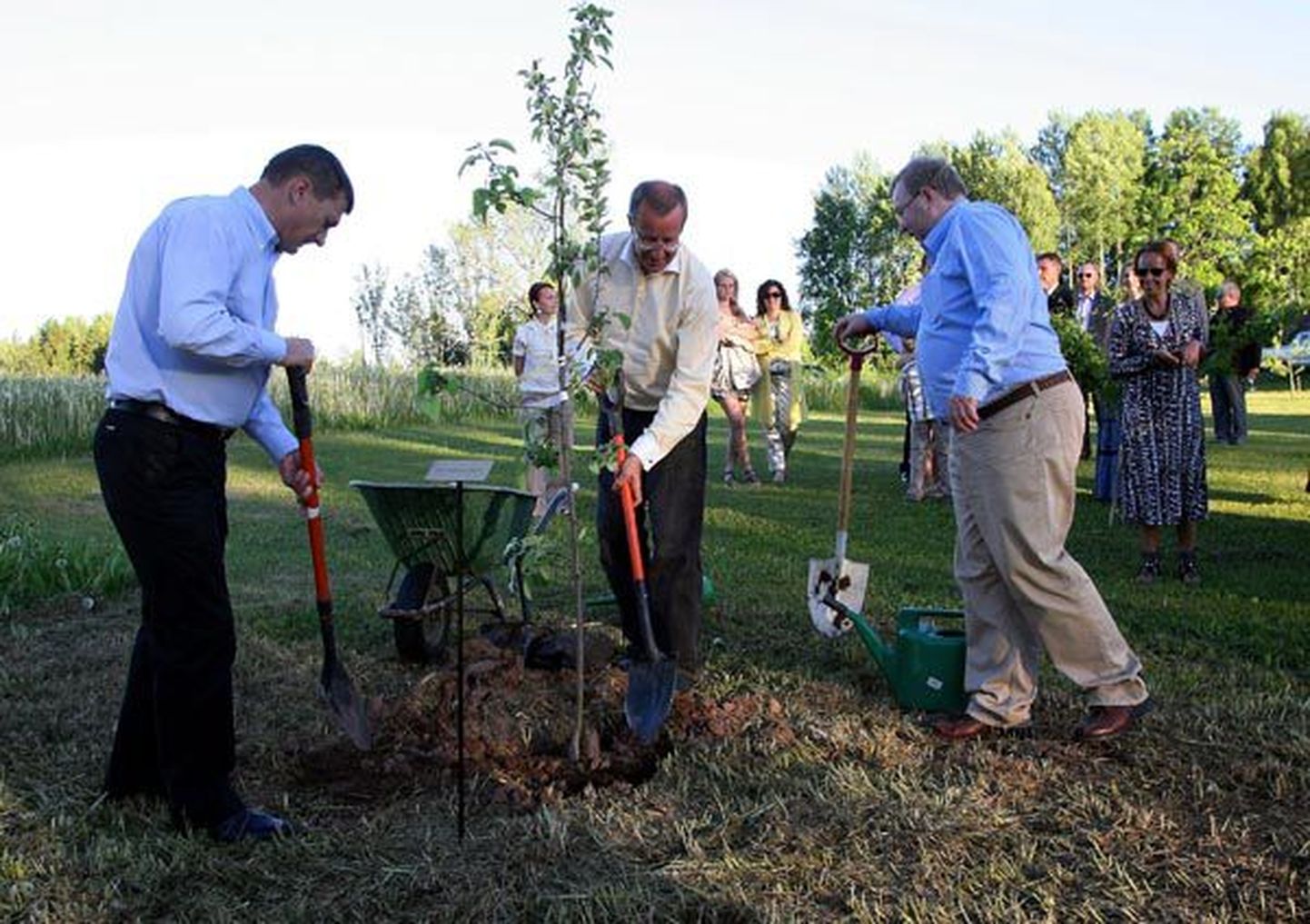 Valitsuse kingitud puud aitasid president Toomas Hendrik Ilvesel istutada peaminister Andrus Ansip ja kaitseminister Mart Laar.