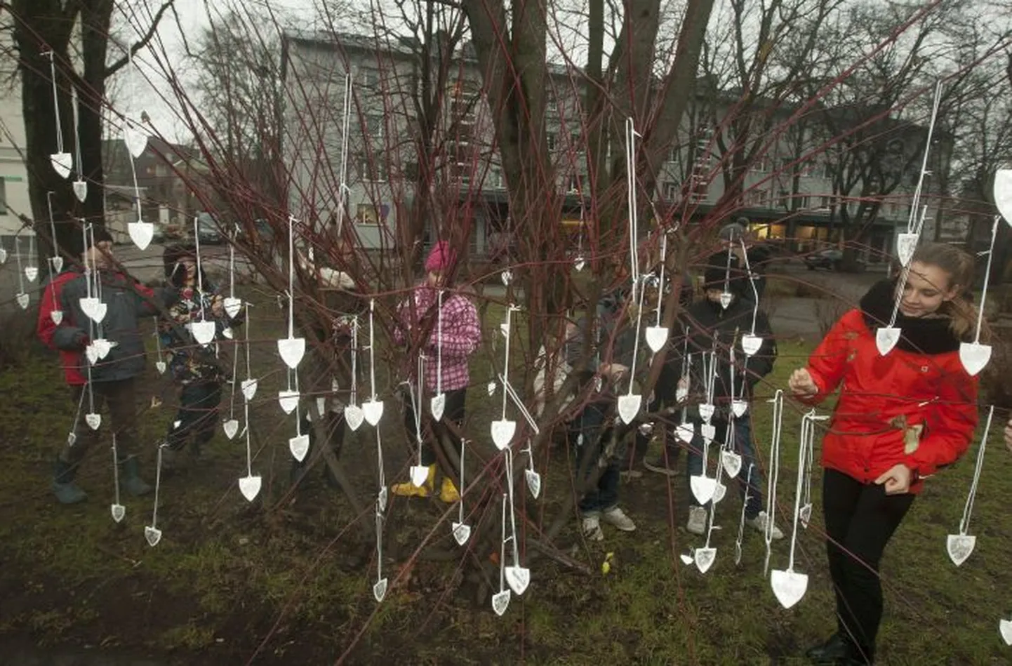 Helkuripuu