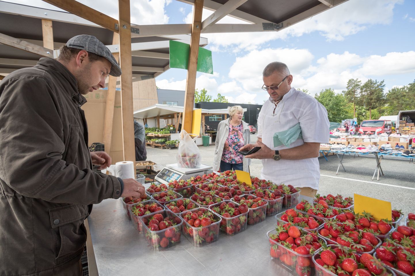 Maasikaid saab turult tunduvalt odavamalt kui poest.