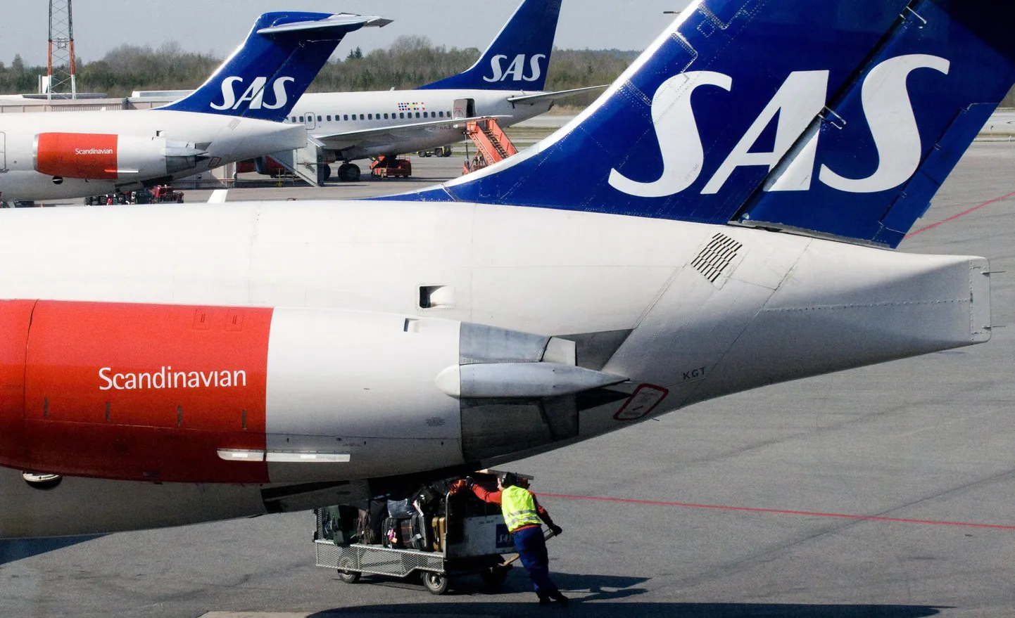 Самолеты компании SAS.