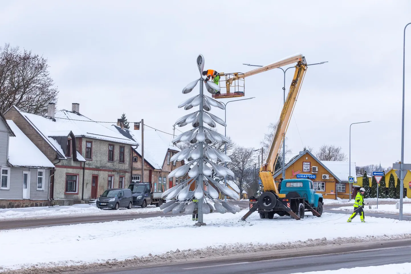 Viljandi kuulus lambikuusk pandi taas üles.