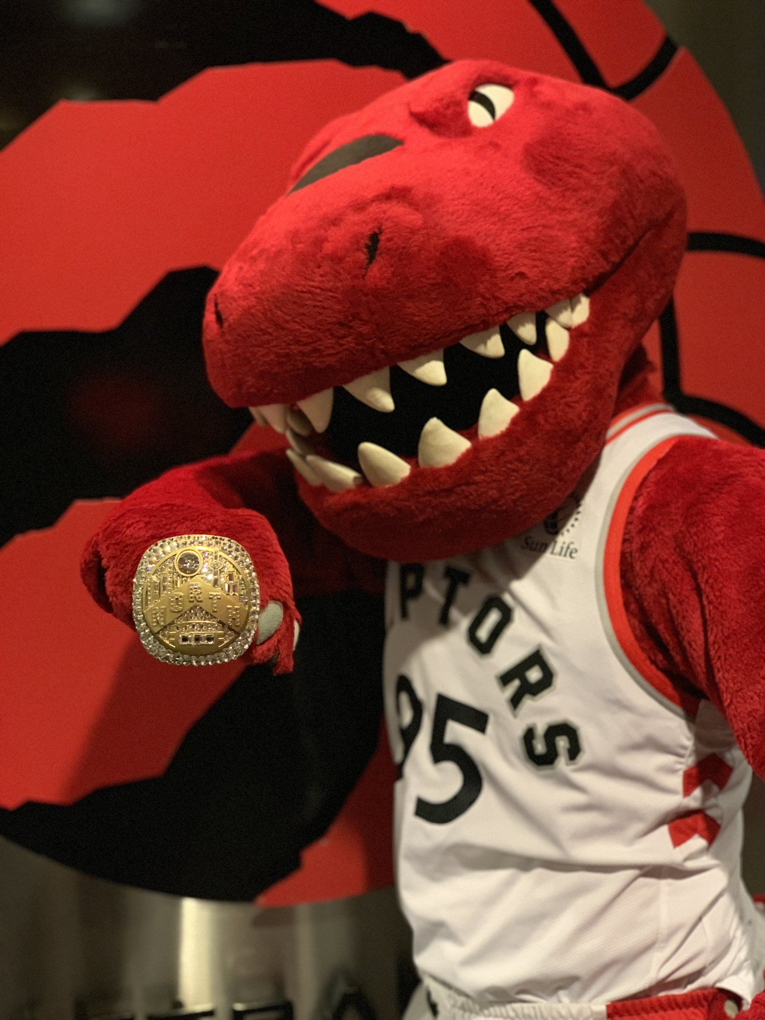 Toronto "Raptors" talismans ar NBA čempionu gredzenu.