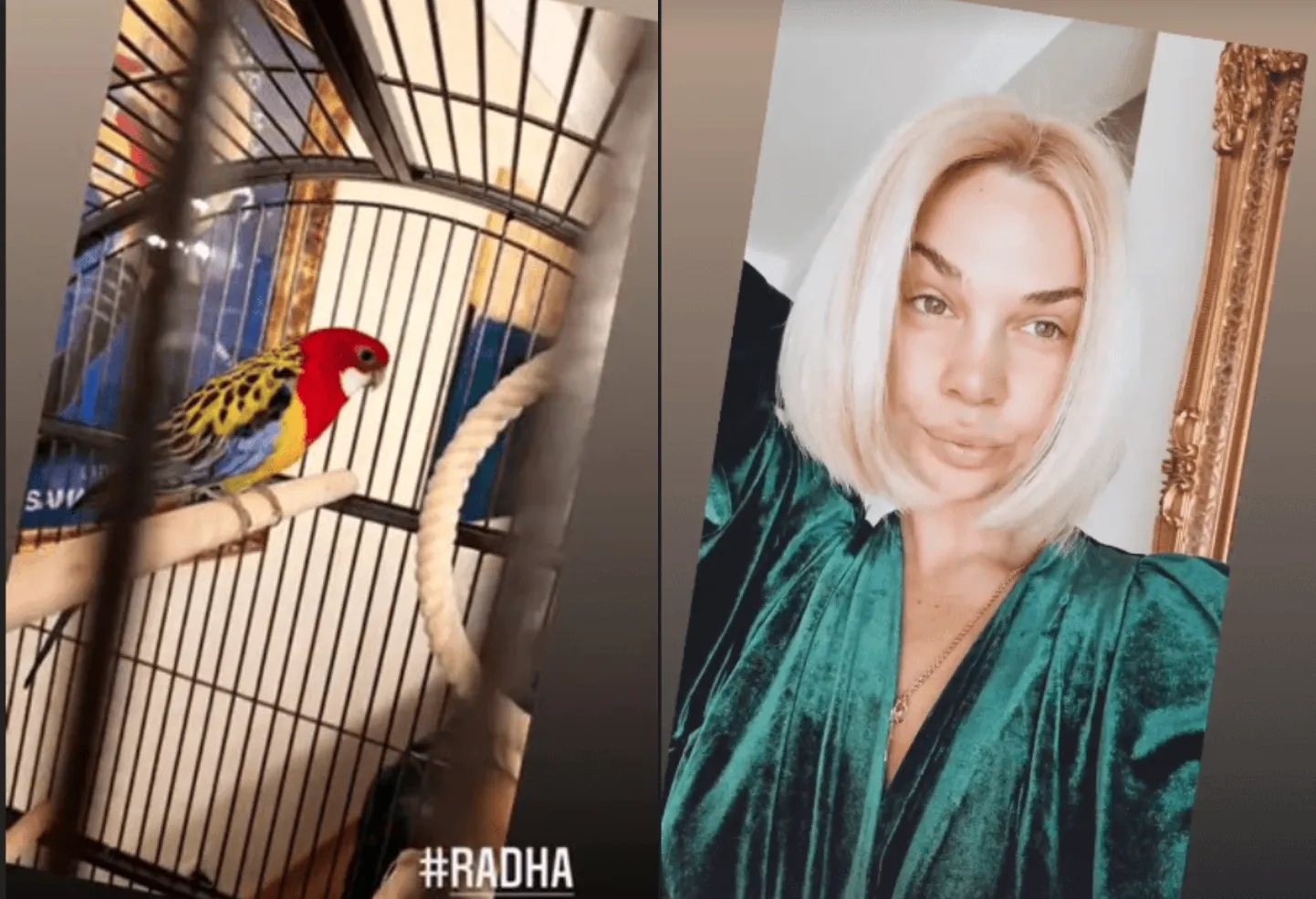 Raksta foto