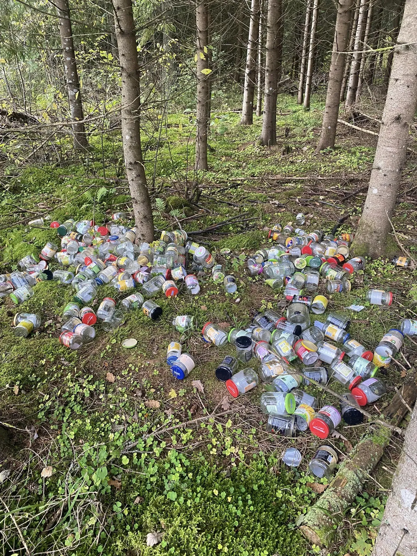 Järvamaa piirilt leiab metsaaluse, kuhu on maha jäetud sadu klaaspurke
