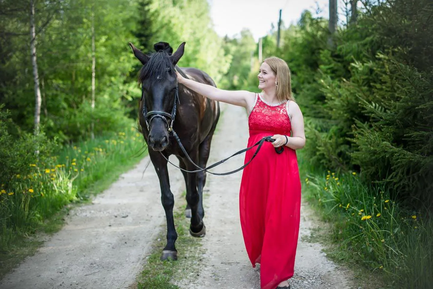 Blogija Jane Almers