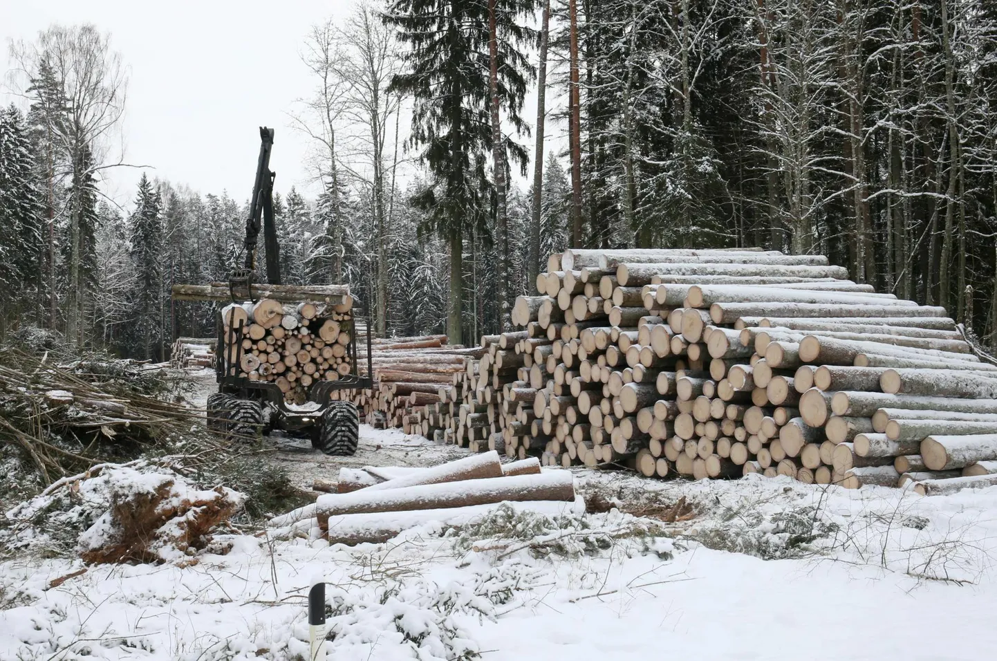 Raietööd riigimetsas katkevad aprilli keskel kaheks ja pooleks kuuks.