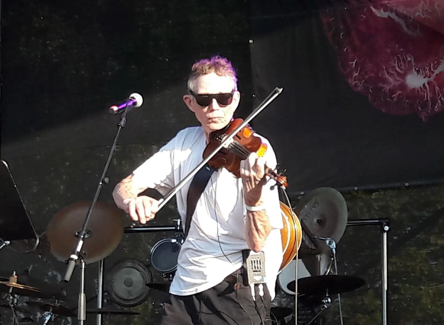 Tõnu Raadik