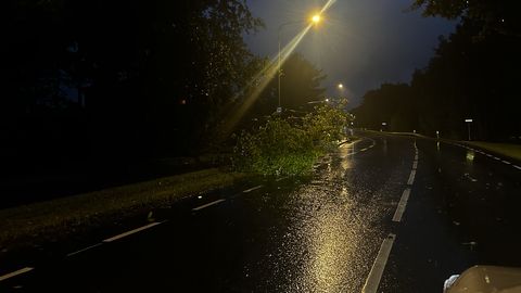 Päästjad eemaldasid teedele ja elektriliinidele kukkunud puid ja kustutasid tanklapõlengu