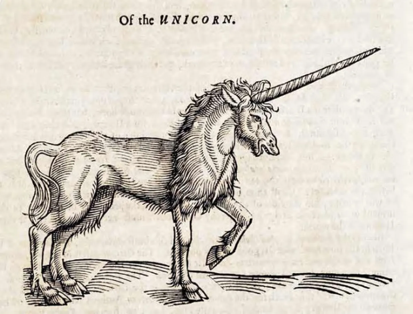 Vienradzis 17. gadsimta mākslā.