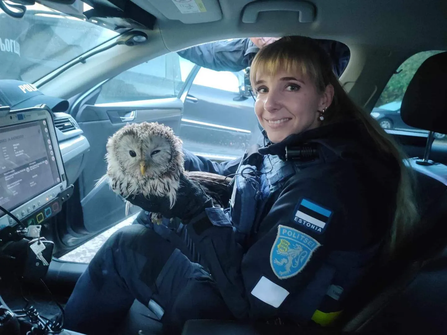 Politseinik Tuuli Jentson hoiab viga saanud händkakku turvaliselt oma käes, et lind oleks rahulik ja endale rohkem viga ei teeks.