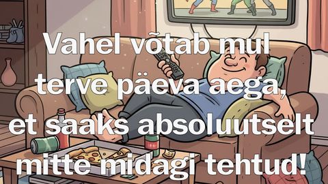 Vahel võtab mul terve päeva aega