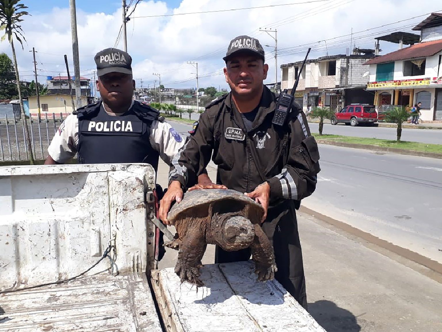 Ecuadori keskkonnapolitsei konfiskeeris eluslooduse kaubitsejatelt kilpkonna.