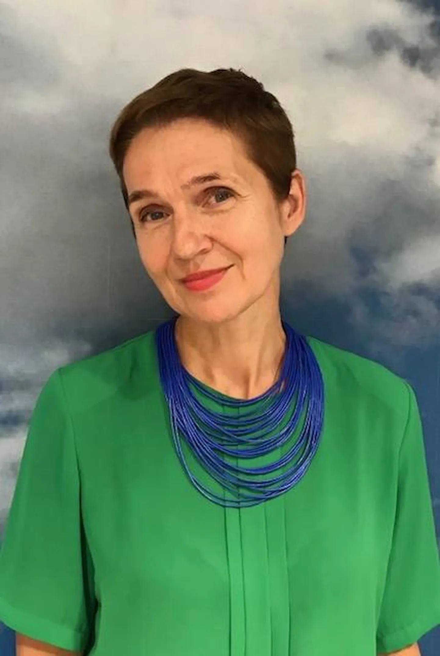TLÜ kommunikatsiooni dotsent Katrin Aava FOTO: Erakogu