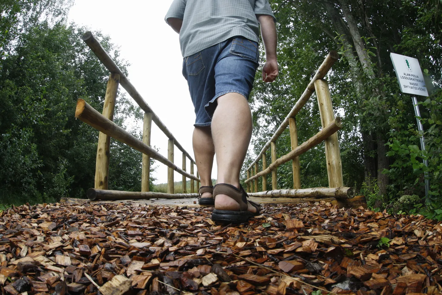 Vajadust sellise kaardirakenduse tekkis tänavu kevadel, mil palju inimesi otsisid paiku, kus värskes õhus aega veeta ja külastasid kaitsealasid.