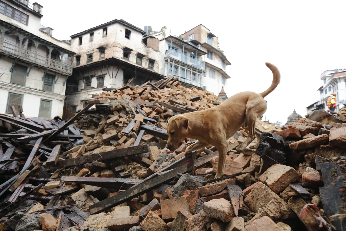 Результаты землетрясения в Непале.