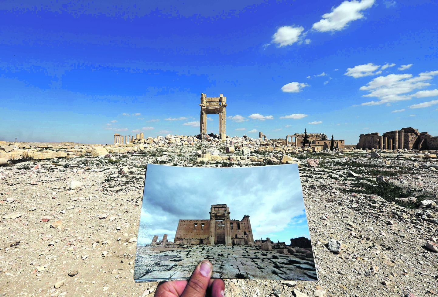 Развалины древнего храма Баала в городе Пальмира в Сирии. Дворец уничтожила радикальная террористическая группировка «Исламское государство».
